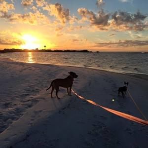 Meet your Posher, Robert